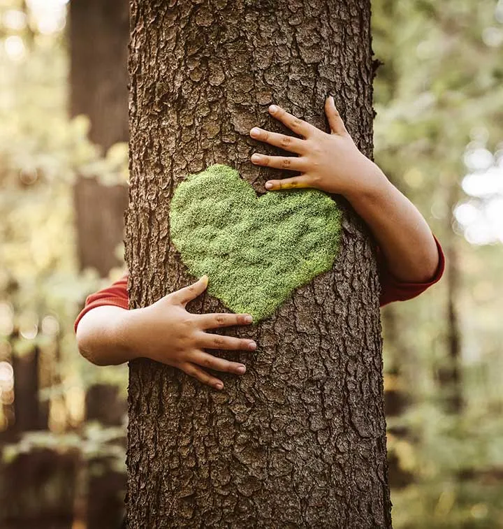 Bras d'enfant entourant un tronc d'arbre